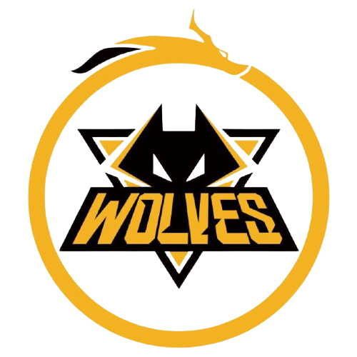 与创造能力 与创造能力