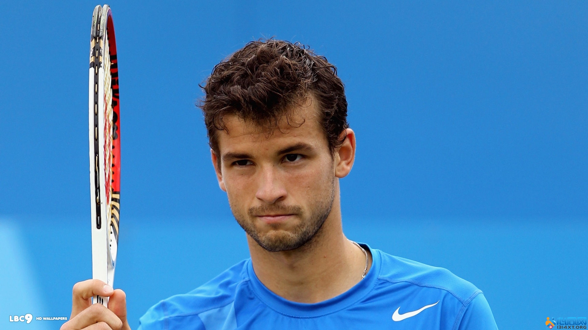 以高蛋白质 以高蛋白质